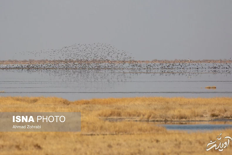 (تصاویر) طبیعت گردشگری قم